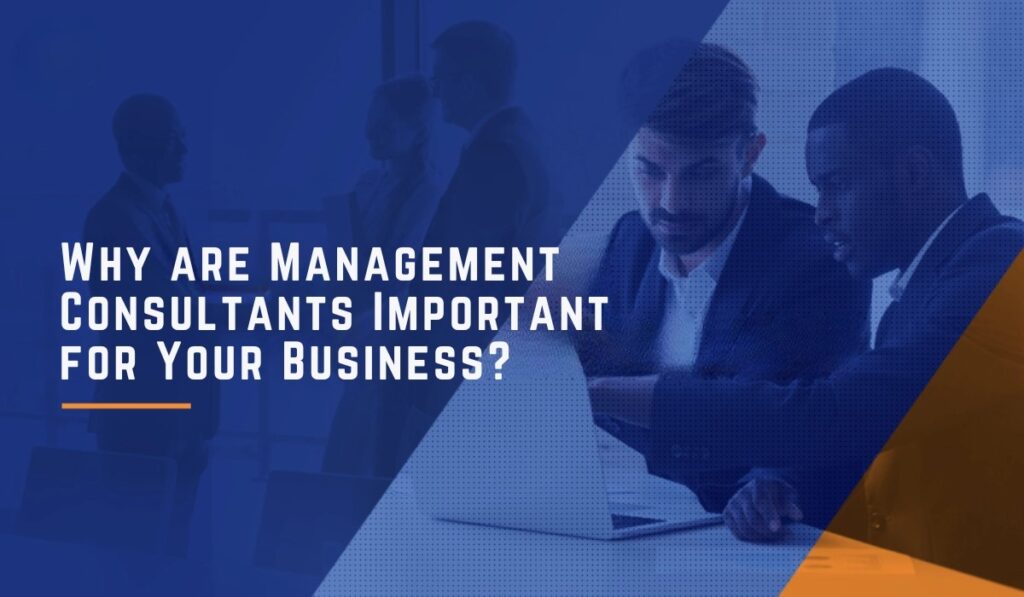 Why Every Growing Business Needs a Management Consultant